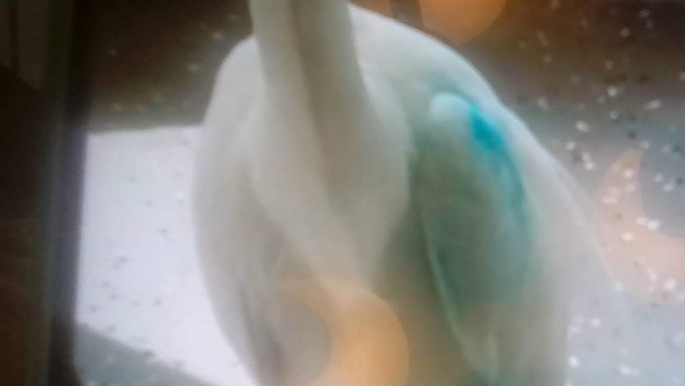 egret2.png