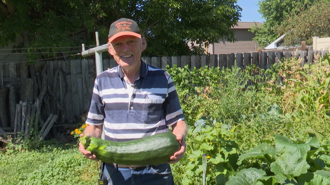 Micah holding a giant zucchini