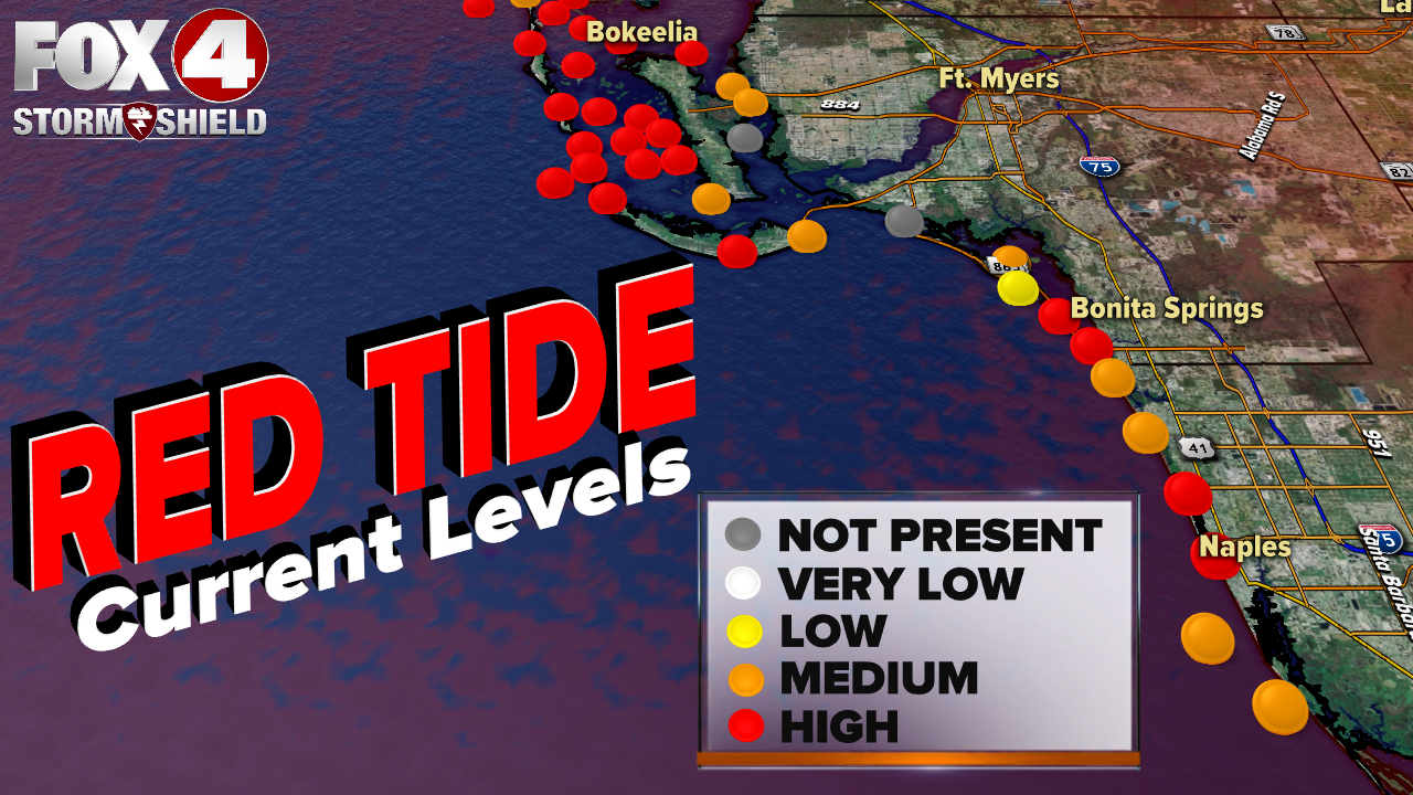 Red tide levels 11-22-19.png