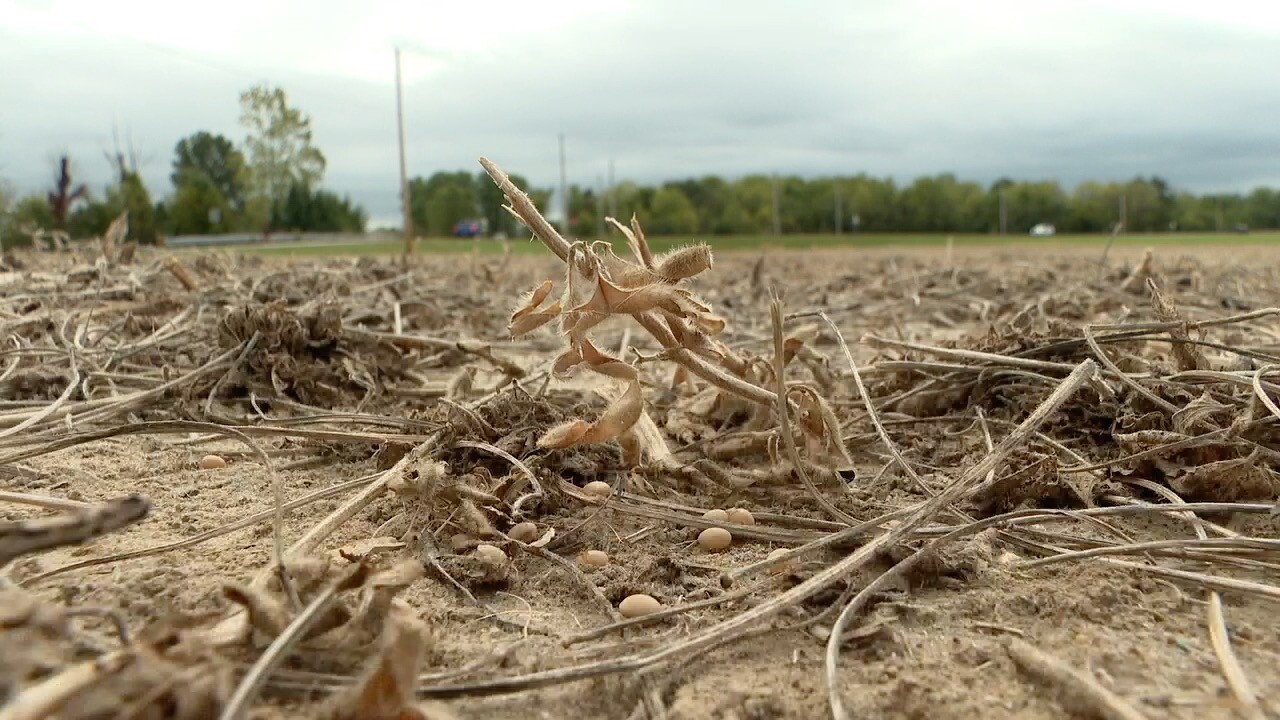 morgan co data center site 2.jpg