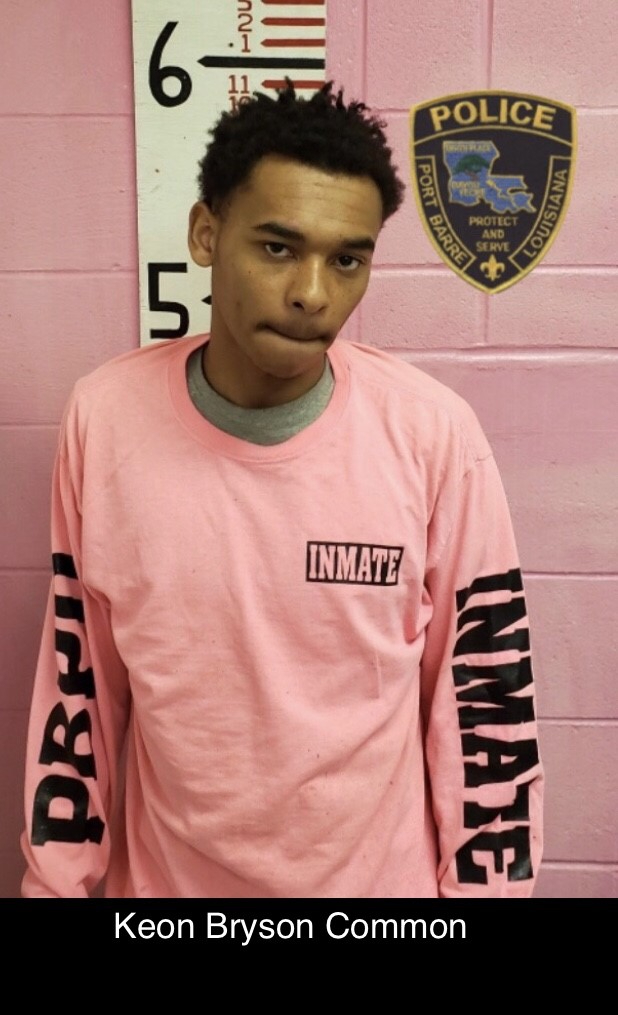 Several arrested in string of burglaries