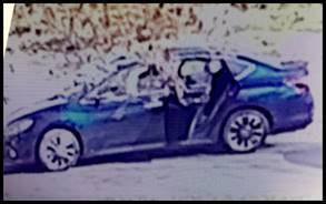 Delivery Vest-Wearing Suspect 04.jpg