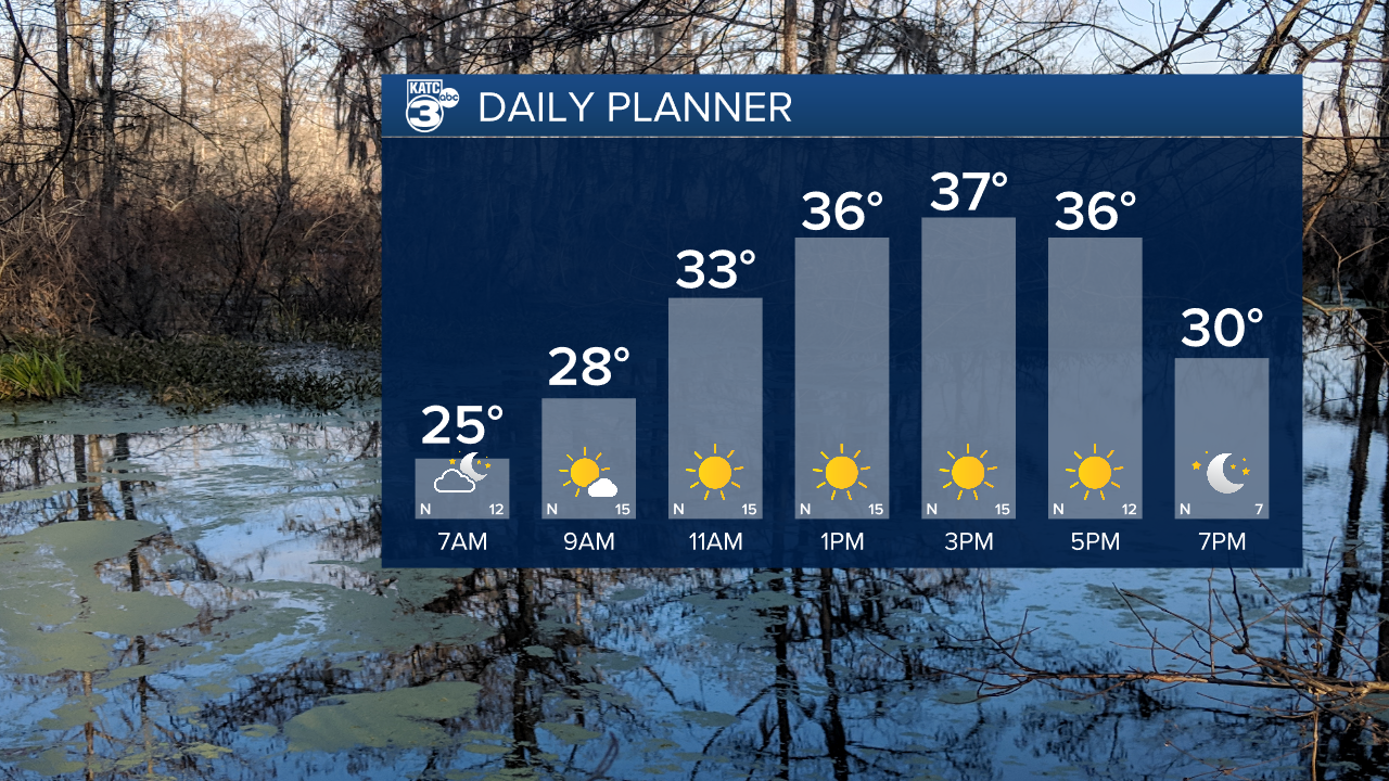 Daniel Day Planner.png