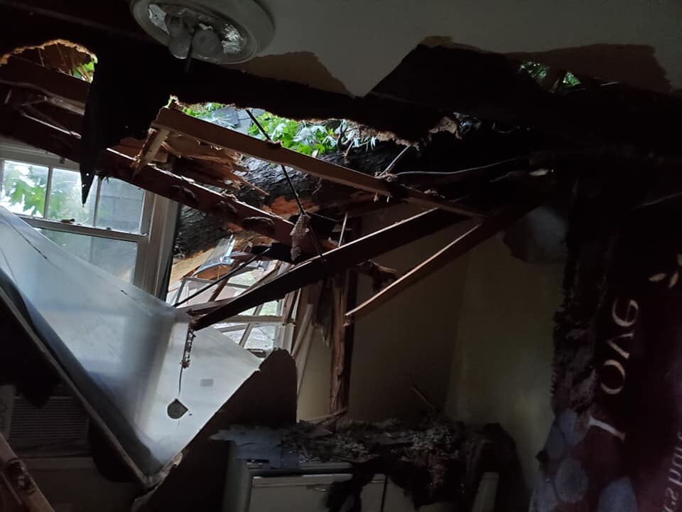 Tree on KCK house.jpg