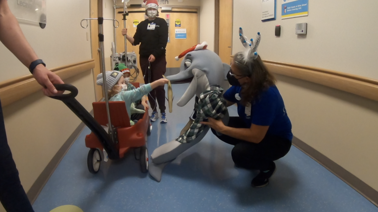 Clearwater Marine Aquarium visits Johns Hopkins Children's Hospital