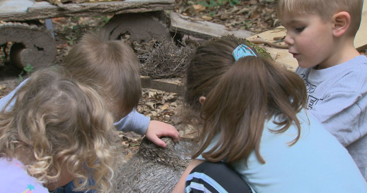 Tenn. trying to help more families afford child care in their community - Vimarsana News