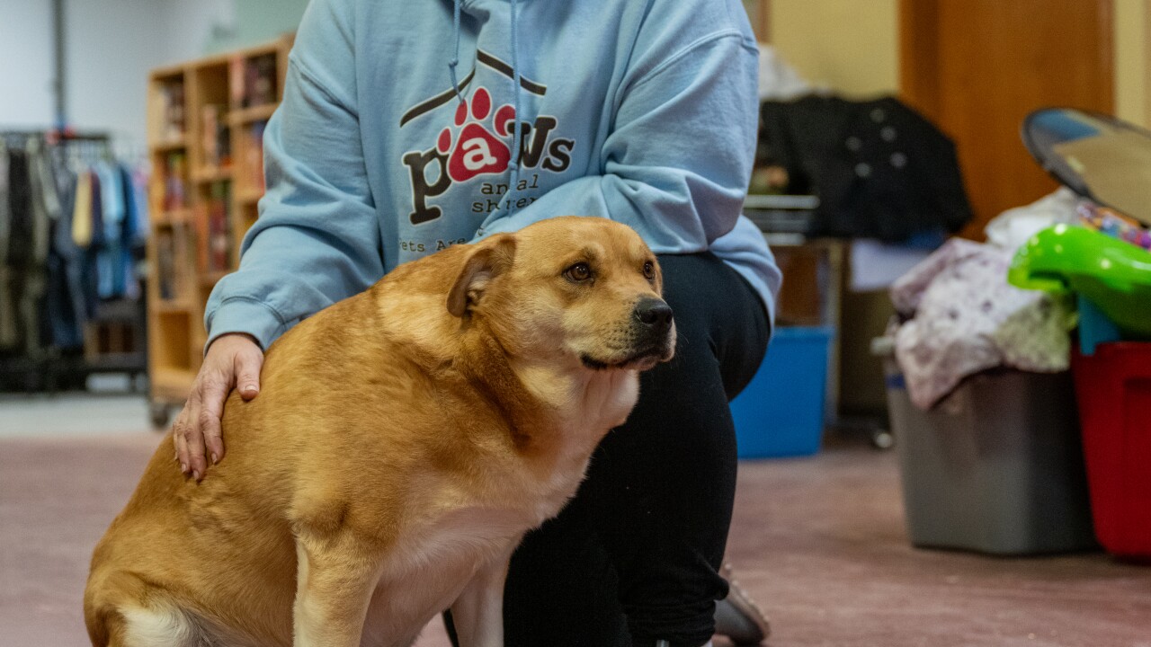 PAWS new store-2.jpg