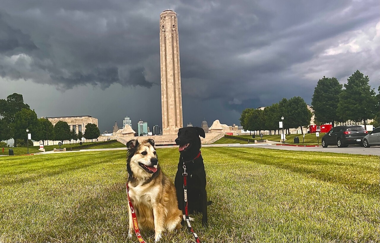 Sunny & Rainbow Pose In Front Of The Storm