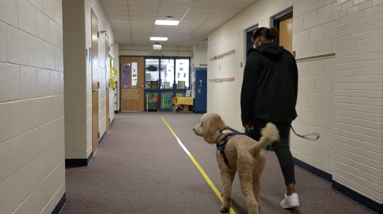 Sandee is walking the hallways of Wacousta Elementary School.