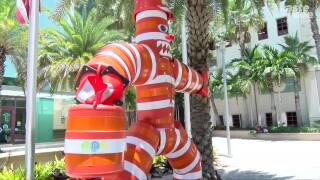 West Palm Beach News And Headlines Wptv Tv Wptv Com