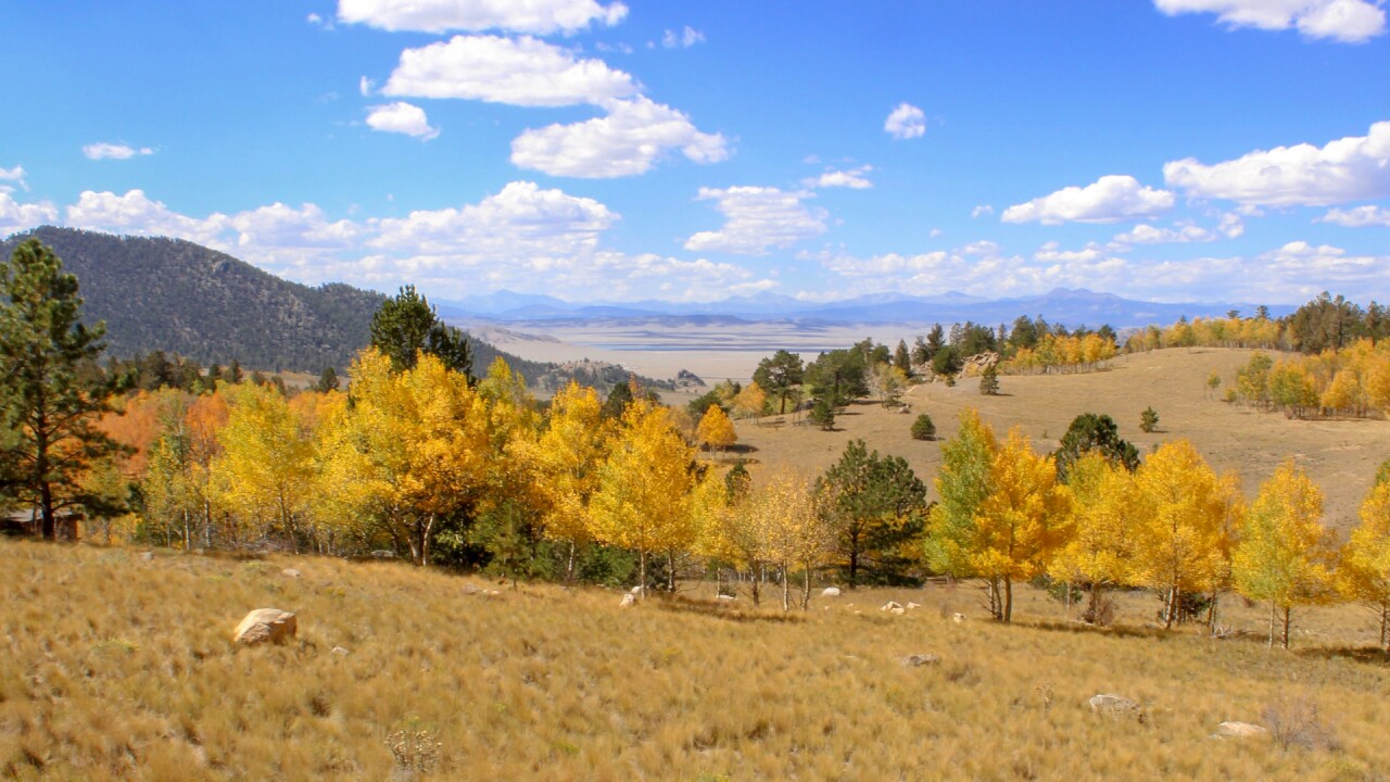 Wilkerson Pass Dillon Shinkle.jpg