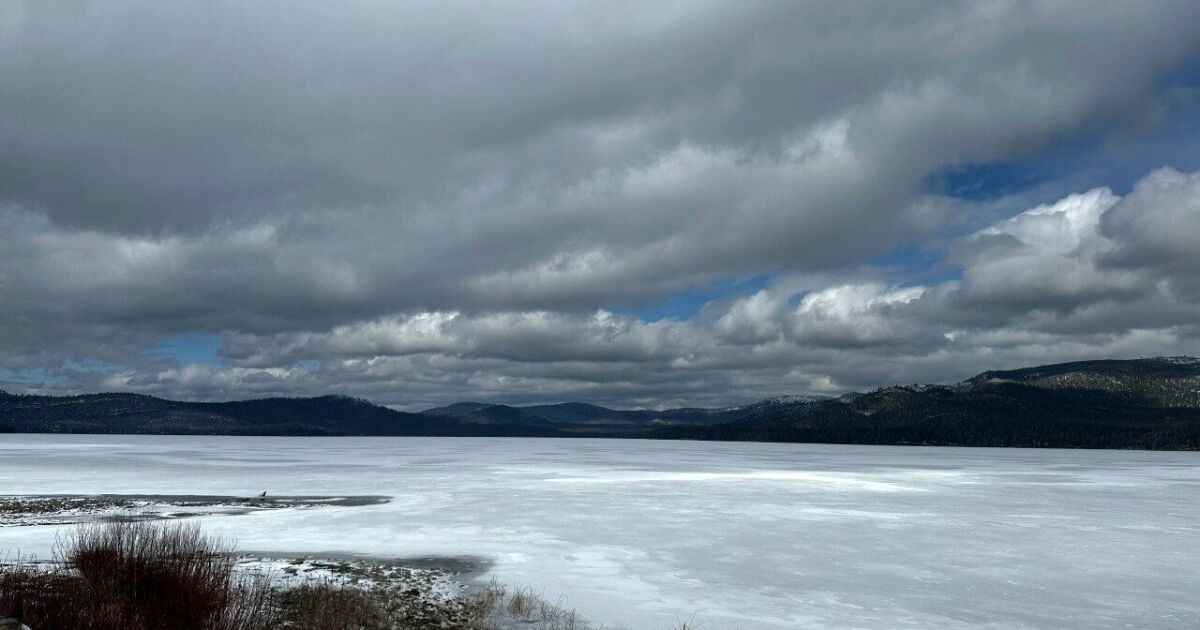 Man rescued after falling through ice trying to rescue calf - Vimarsana News