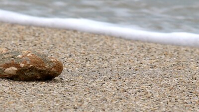 Oculina Bank concerns 