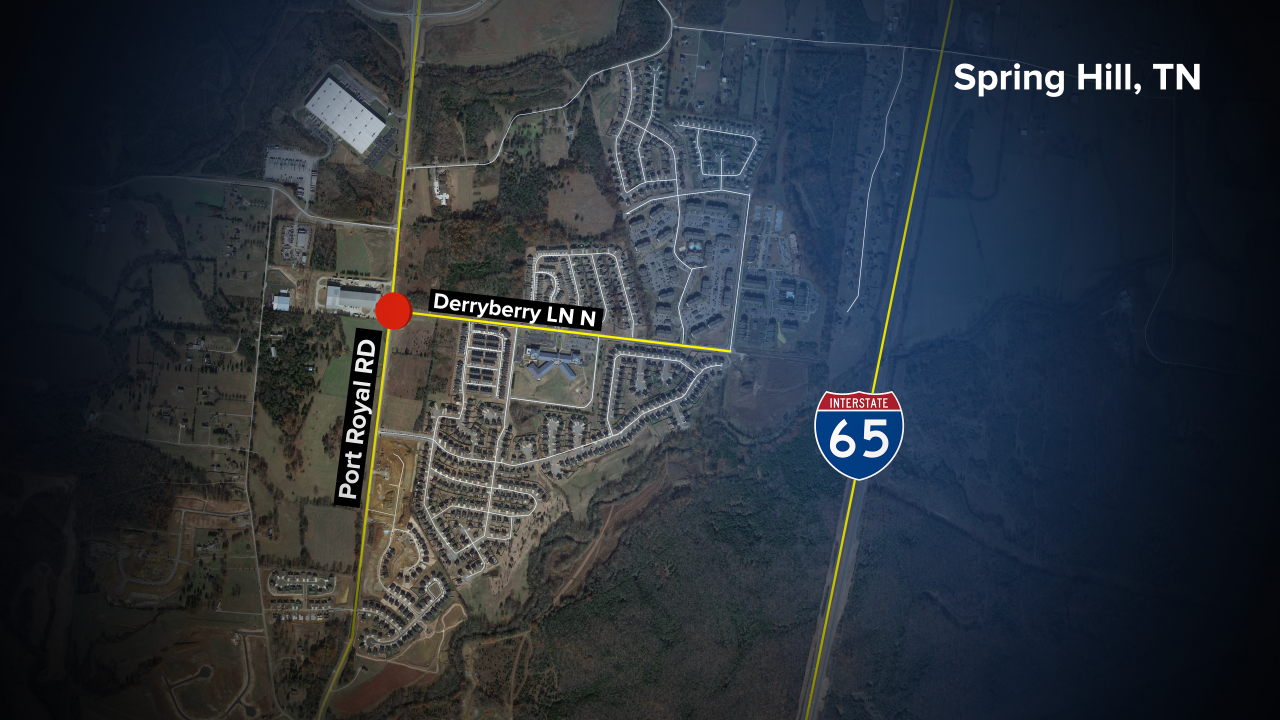 Proposed development