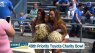 Charity Bowl Recap on Coast Live