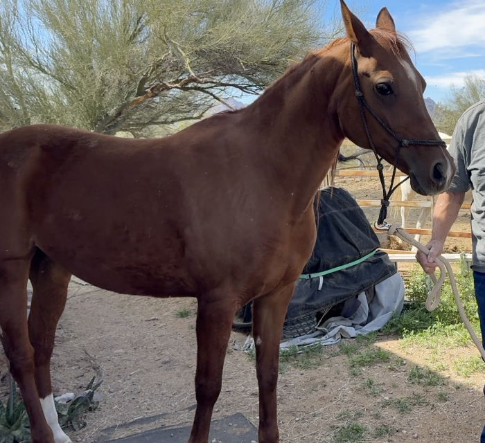 Screenshot 2026-03-09 at 5.24.12 AM.png