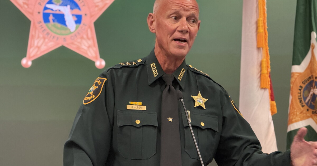 ‘We cannot fight crime in the Stone Age': Pinellas sheriff defends Flock cameras