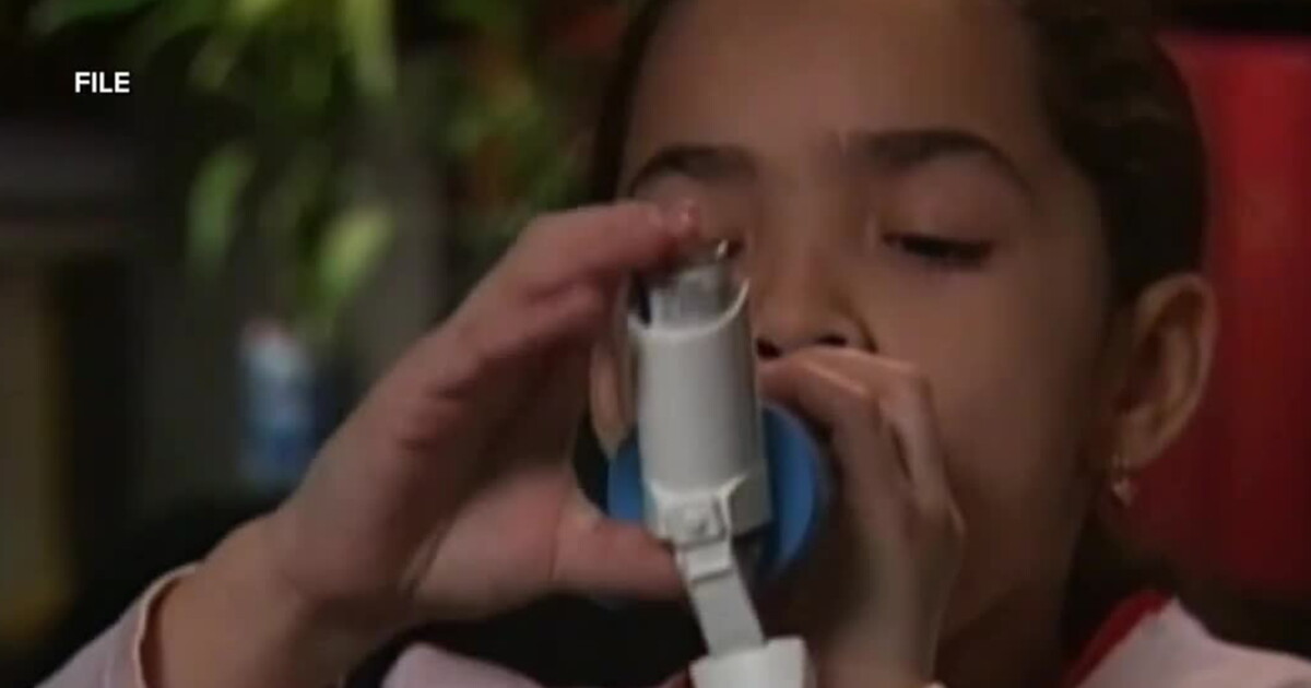 Children with allergies are at risk of developing more, study confirms - Vimarsana News