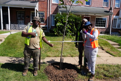 The neighborhood forestry technicians next to one of the trees they planted