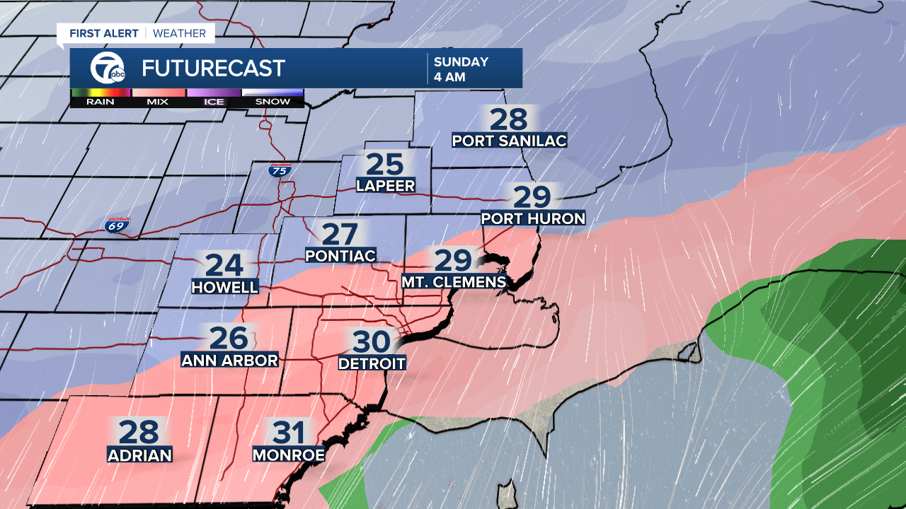 Precip Type ECMWF Hourly 9Km - Mike2.png