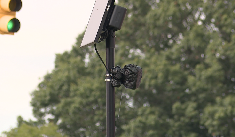 Covered Flock cameras in St. Clair Shores