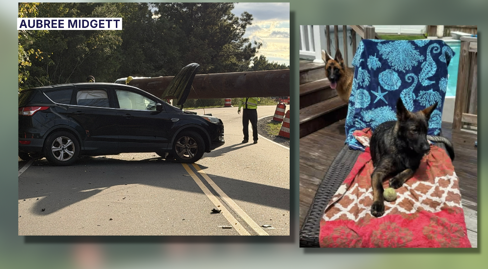 Dog missing after construction material falls on car in Virginia Beach
