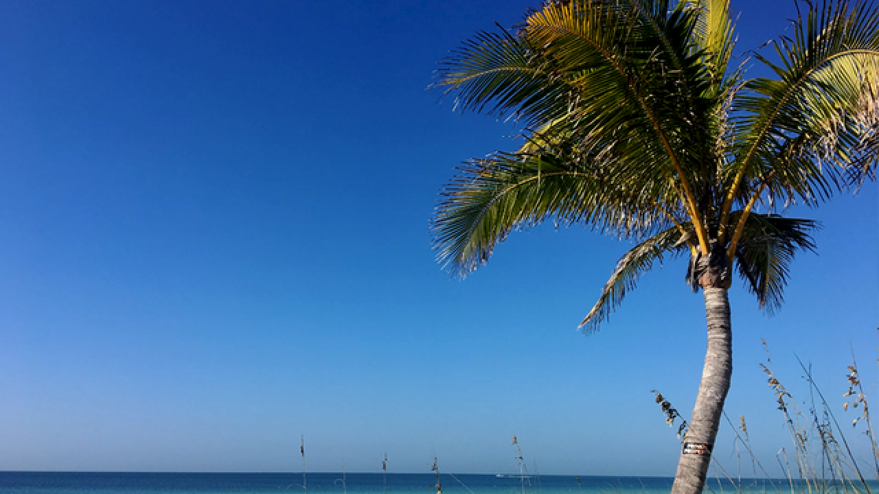 Help Anna Maria Island Win America S Happiest Seaside Town