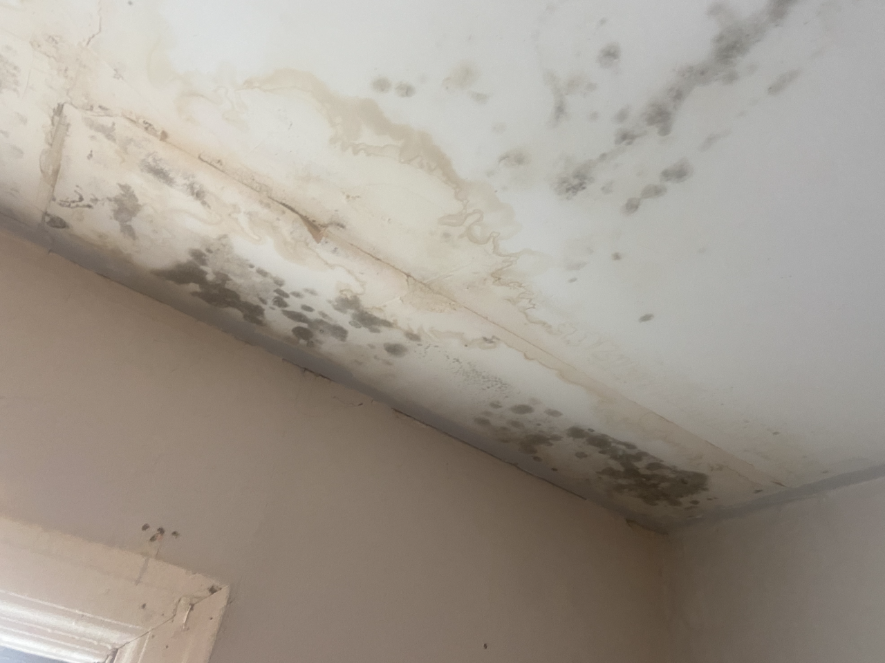 Screen Shot 2021-11-05 at 6.08.40 PM.png