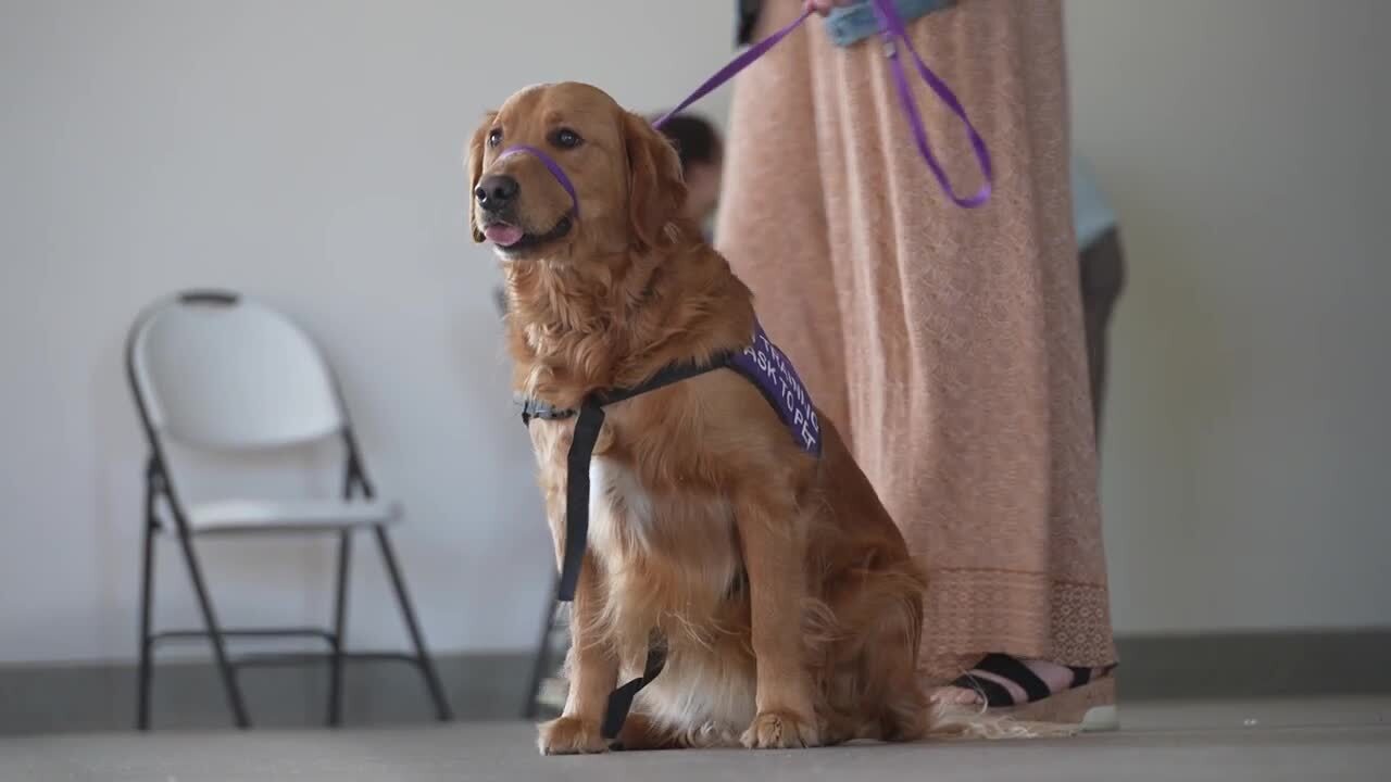 K9s 'graduate' at Carroll College