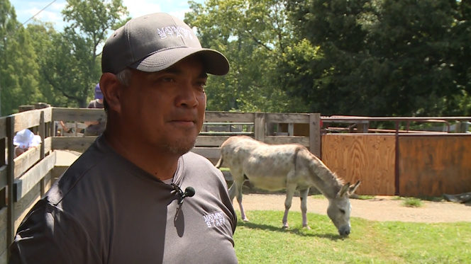 Percy Maymont Donkey 02.png