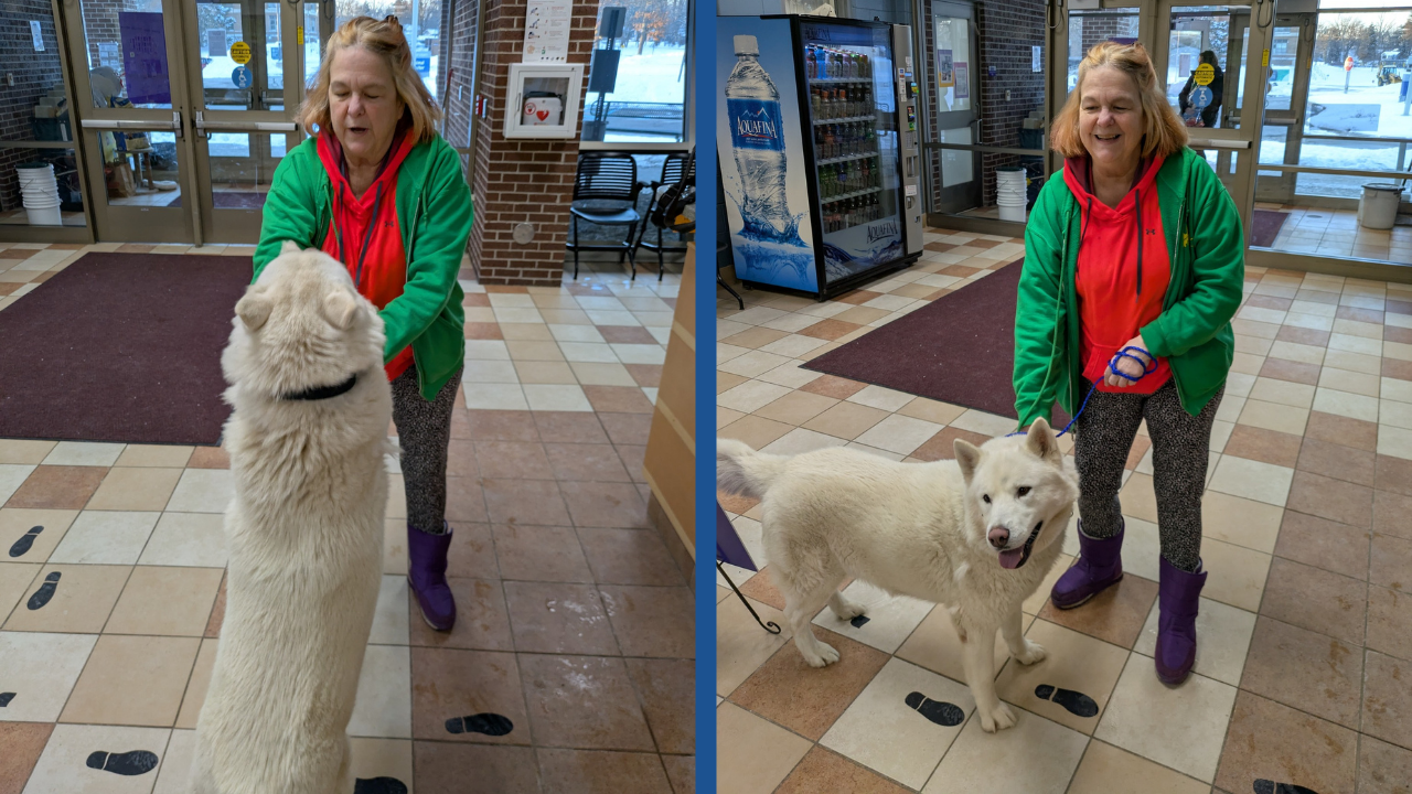 Dog reunited with owner 18 months after he disappeared from northern Michigan home Dog reunited with owner 18 months after he disappeared from northern Michigan home