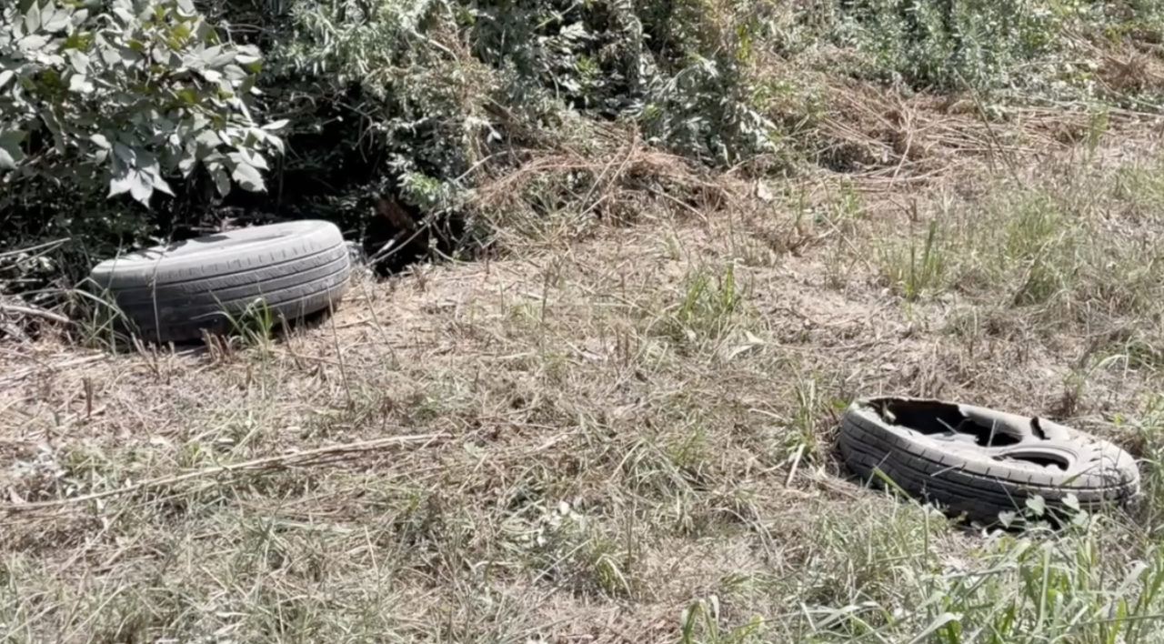 Illegal tire dumping along rural Leon County road prompts outrage and cleanup costs