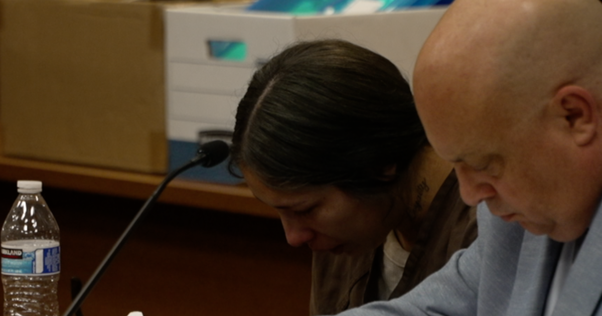 Mother charged with murder after child dies in hot car
