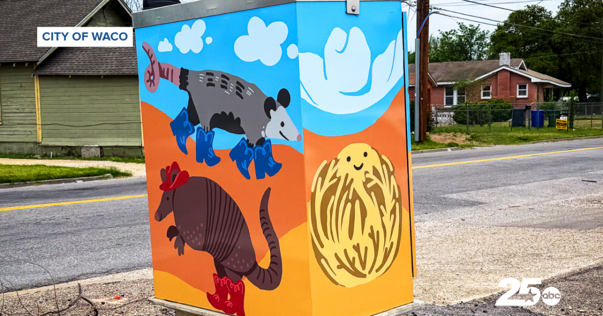 Waco expands public art program with 12 new utility box murals