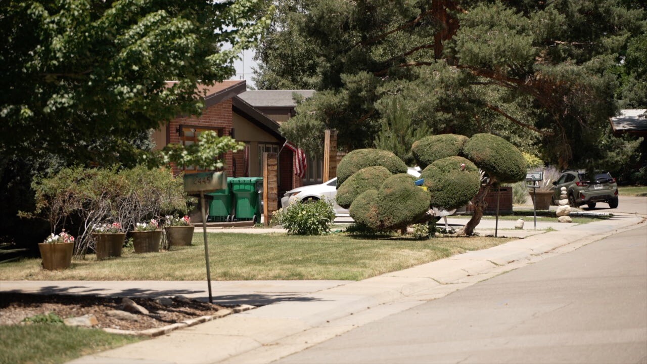 Dahlia Lane landscaping.jpg