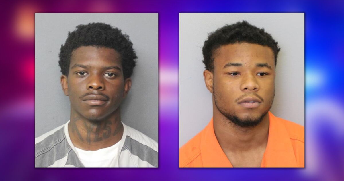 2 men plead guilty after raping Norfolk woman, forcing her into dog cage - Vimarsana News