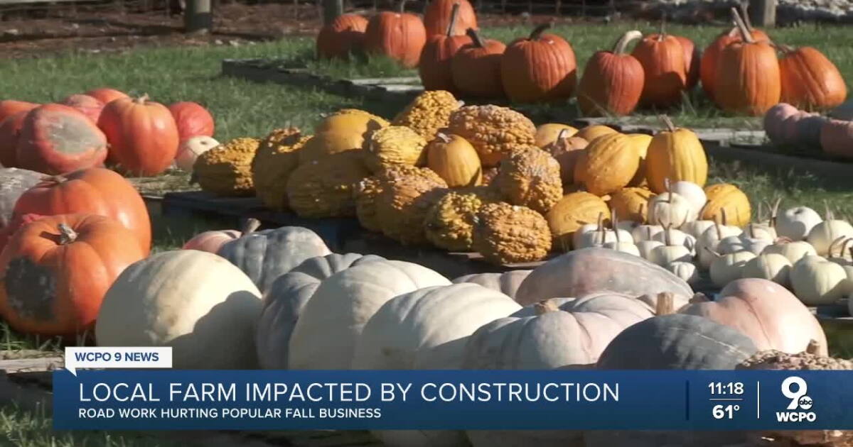 Highway development close to market has slowed gross sales; pumpkins are plentiful
