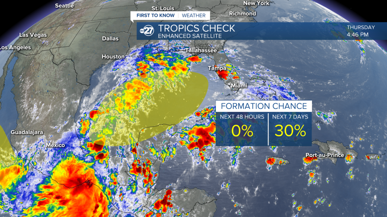 tropics check GULF 10032024.png