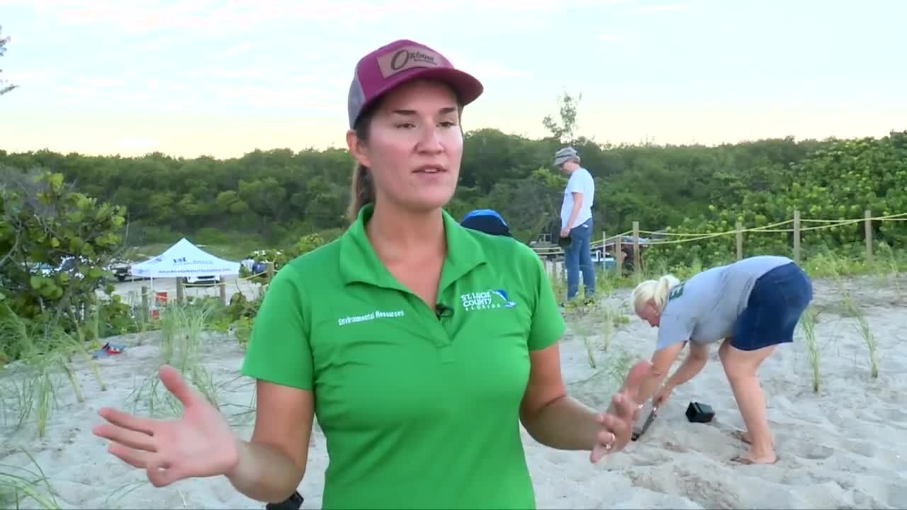 Tessa Roberts, senior Environmental Community Outreach coordinator with the St. Lucie County Environmental Resources Department, said during hurricane season, it is even more important to replenish the coastlines. Sept. 16, 2023