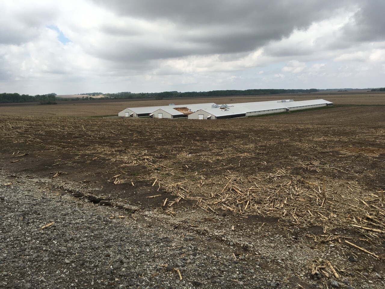 Outbuilding damage.jpg