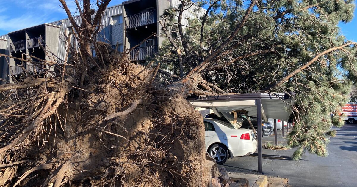 Power outages reported across southern Colorado