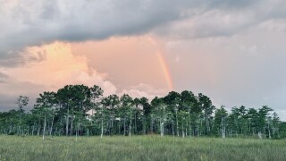 Rainbow in Big Cypress National Preserve