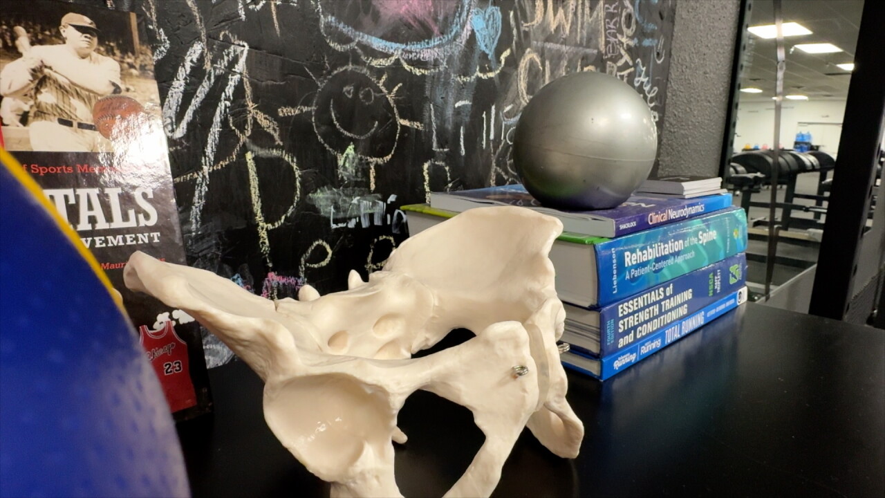 physical therapists