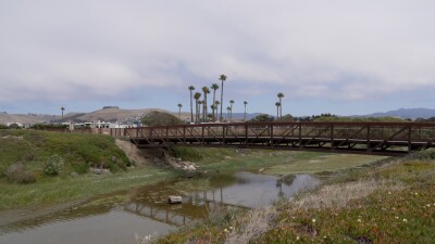 MORRO CREEK.jpg