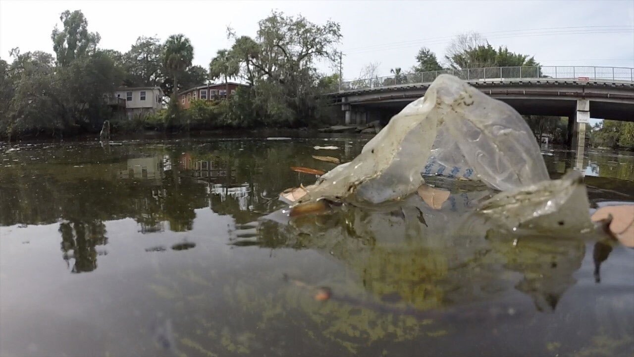 trash-and-manatees-in-Hillsborough-River-WFTS-3.jpg