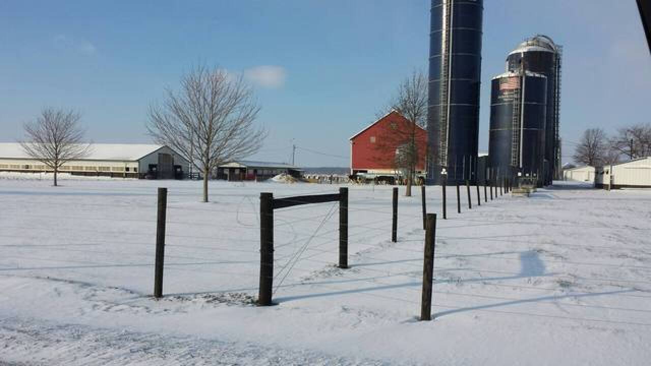 PHOTOS: Even animals have snow days on farms