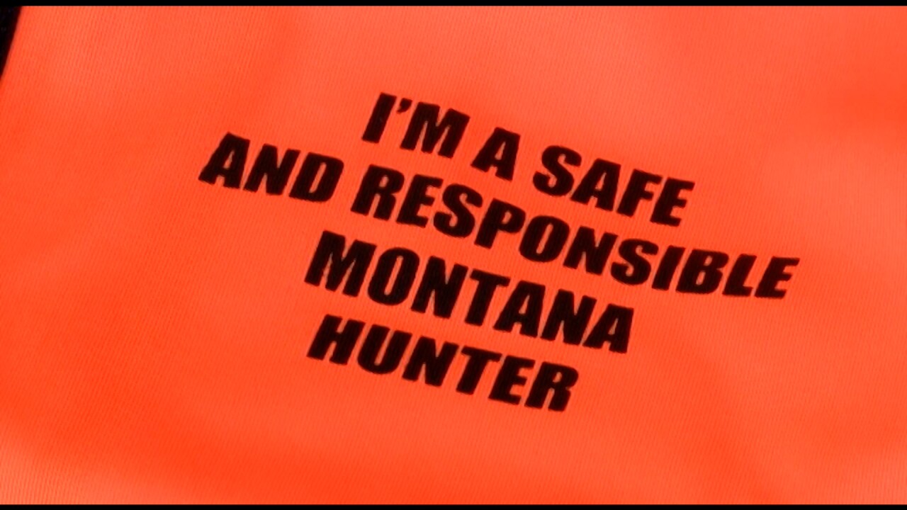 Safe Hunter