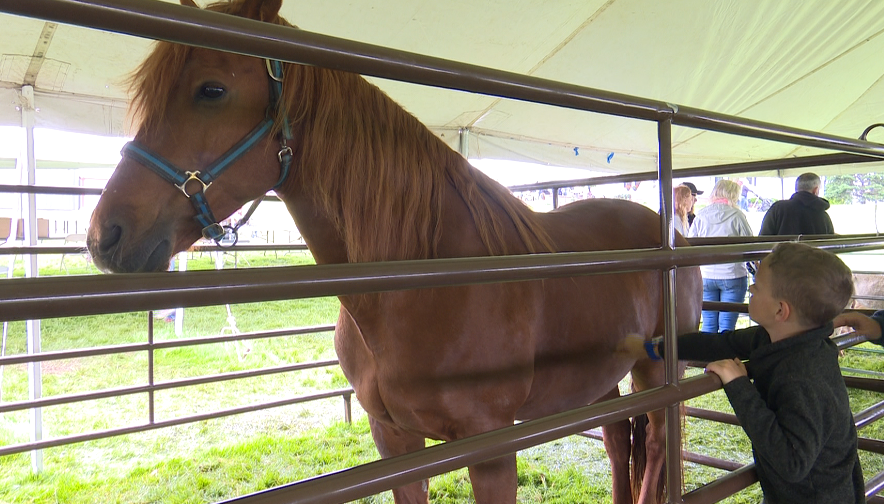 Breakfast on the Farm: 11-year-old hopes to become a sixth generation farmer