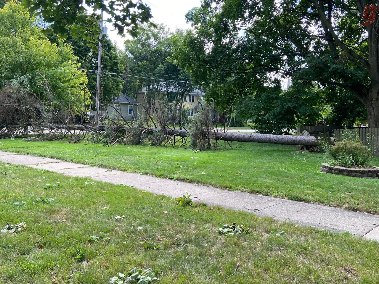 Jackson Severe Storm Damage