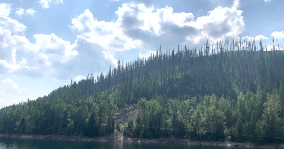 Recent rainfall beneficial to crews battling Ridge Fire - Vimarsana News